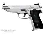 Sig P229 Match