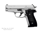 Sig P229ST