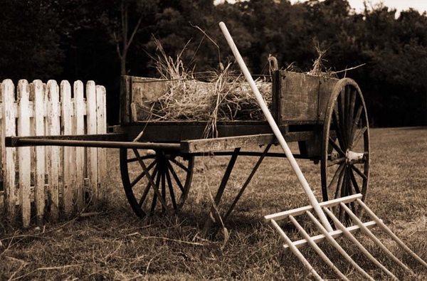 Wagon at Missouri Town 1995 (sepia toned)(Not for sale at this time)