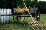 Wagon at Missouri Town 1995 (color) (predigital)(Not for sale at this time)